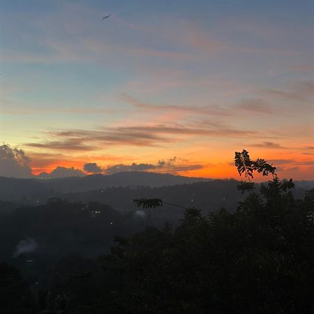 Kandy Hill Escape Exteriör bild